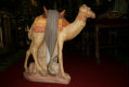 Camel en PLASTER, Belgium 19th century