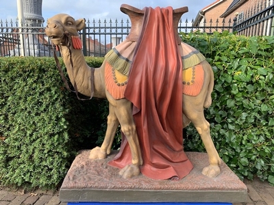 Exceptional Camel 100 X 100 Cm ! en Composite, Dutch 19th century