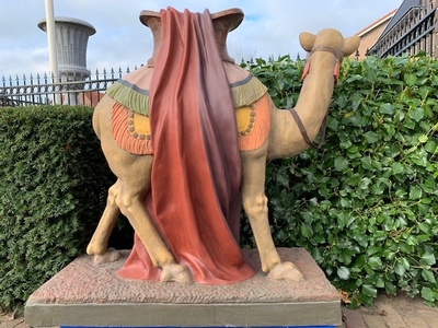 Exceptional Camel 100 X 100 Cm ! en Composite, Dutch 19th century