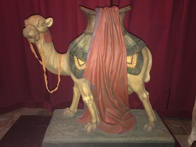 Exceptional Camel 100 X 100 Cm ! en plaster polychrome, Belgium 19th century