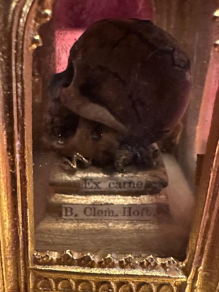 1 Gothic - Style Reliquary Inside A Sculpted Chestnut In The Shape Of A Skull. Ex Carne B. Clemens M. Hofbauer