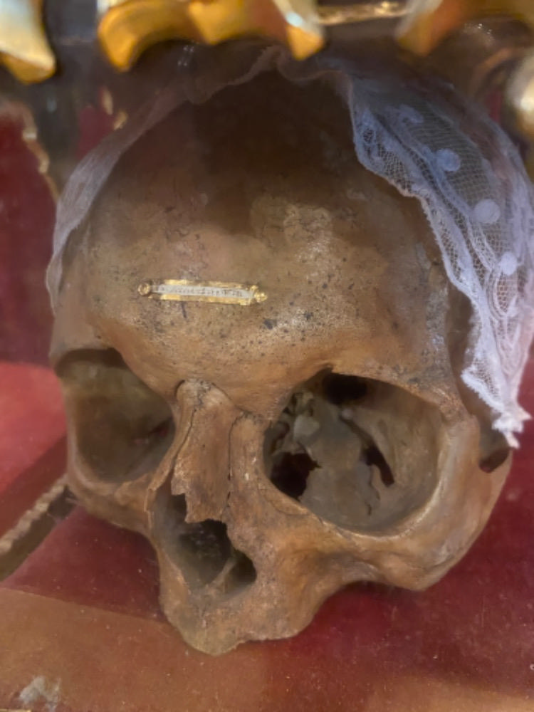 1 Gothic - style Reliquary - Relic Caput ( Skull ) St. Ar.....Drine V.M.