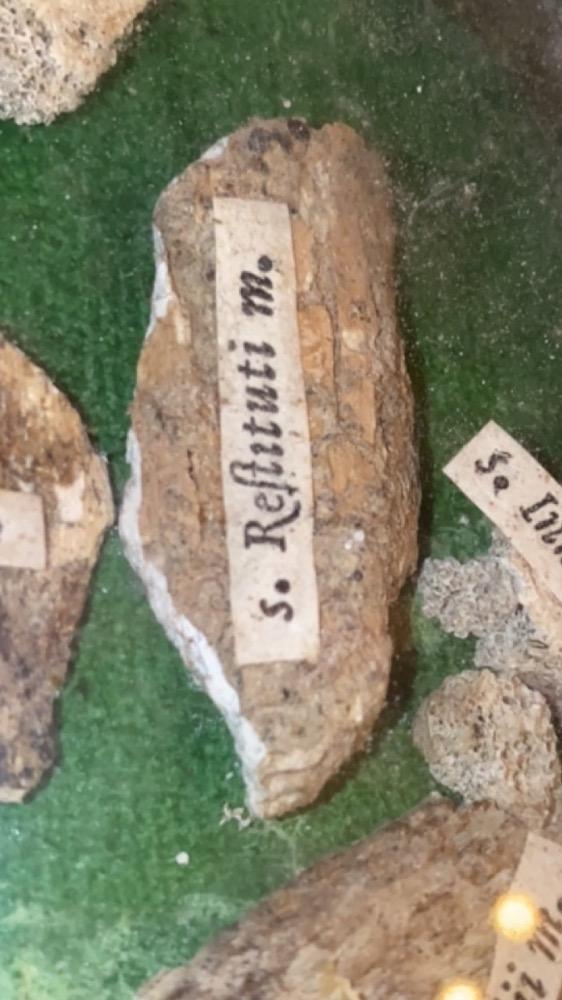 1  Large Reliquary First Class Ex Ossibus : St. Bonosi M. St. Aurelii M. St. Innocentii M. St. Restituti M.