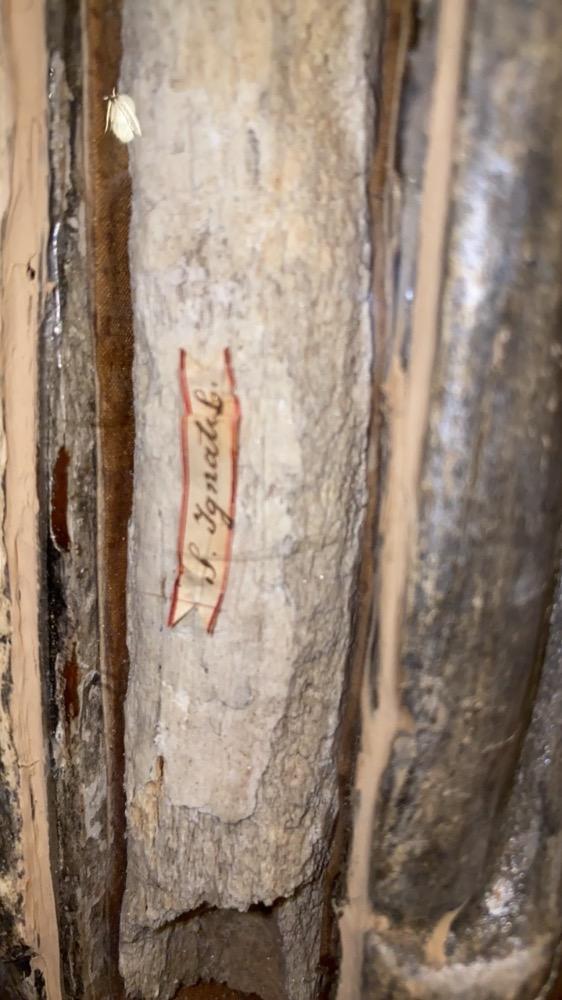 1  Reliquary - Arm Relic Ex Ossibus St. Ignatii Loyola