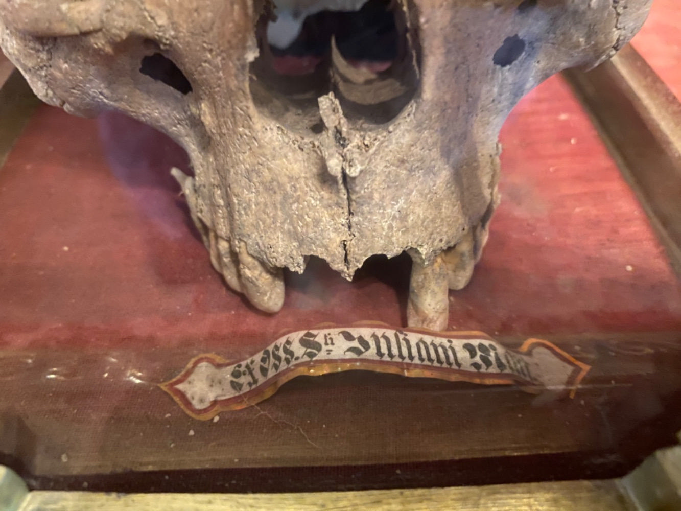 1 Romanesque - Style Reliquary - Relic Caput ( Skull ) St. Inhani Mart.
