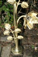 Rose - Bow en Brass / Polished / New Varnished, Belgium 19th century