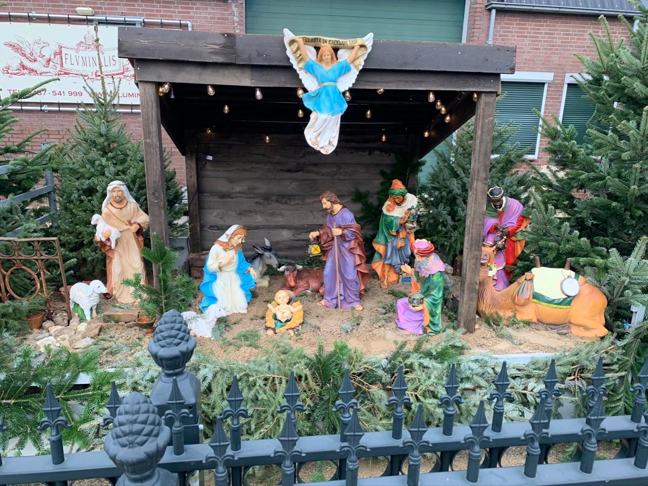 13  Nativity Set Suitable For Outdoor