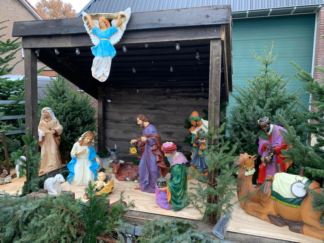 13  Nativity Set Suitable For Outdoor