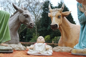 Nativity Set en plaster polychrome / wooden feet, Belgium 19th century