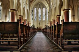 Full Oak Pews  style gothic en Oak, Dutch 19th century