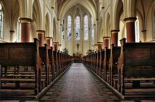 Full Oak Pews  style gothic en Oak, Dutch 19th century