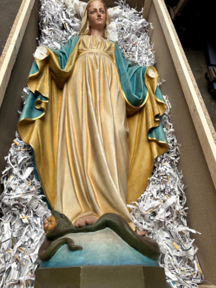 Packing Process For Italy 2024